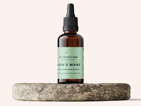 Lion's Mane Extract Tincture 50ml