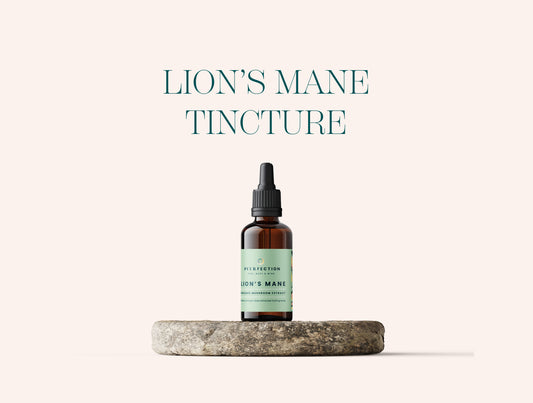 Lion's Mane Extract Tincture