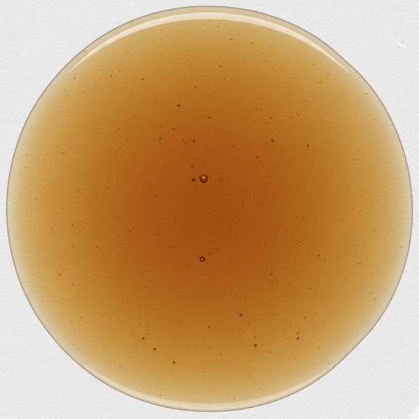 Reishi Extract